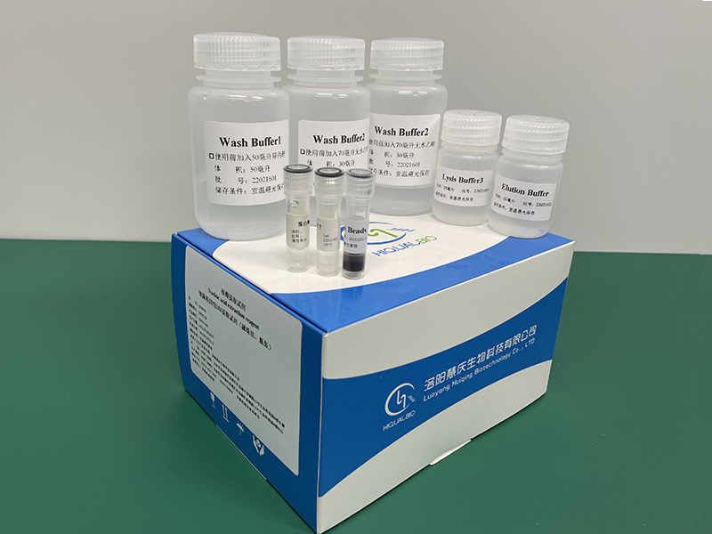 細菌基因組DNA提取試劑(磁珠法)