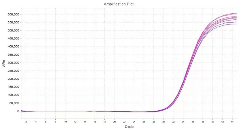 實驗結(jié)果 實驗結(jié)果