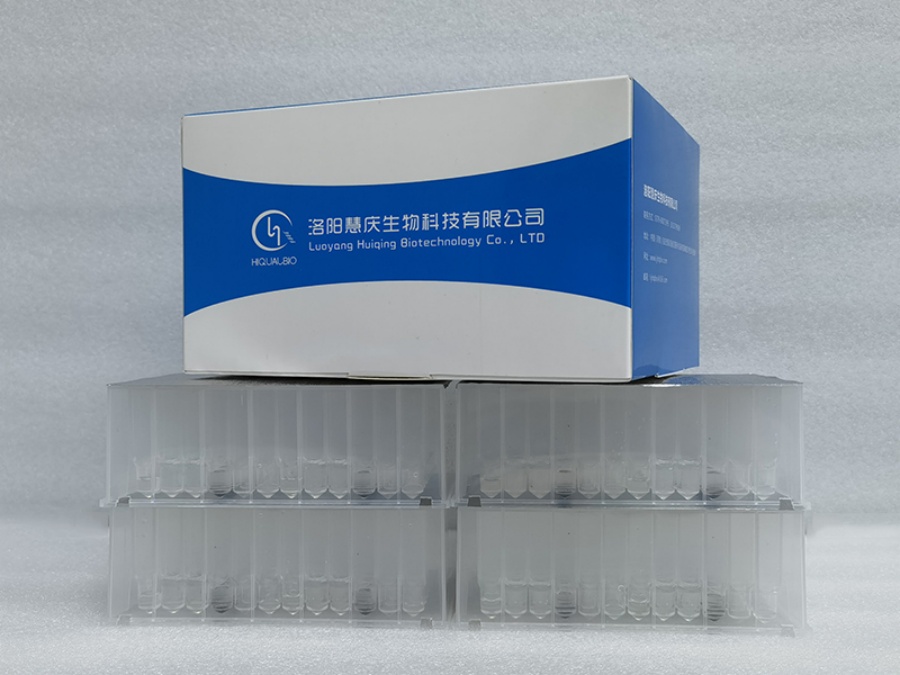 真菌核酸提取需要注意什么？